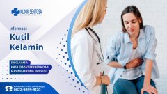 Kutil kelamin